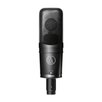 SIDE-ADDRESS MULTI-PATTERN CONDENSER MICROPHONE
